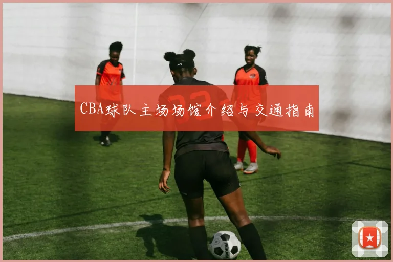 CBA球队主场场馆介绍与交通指南
